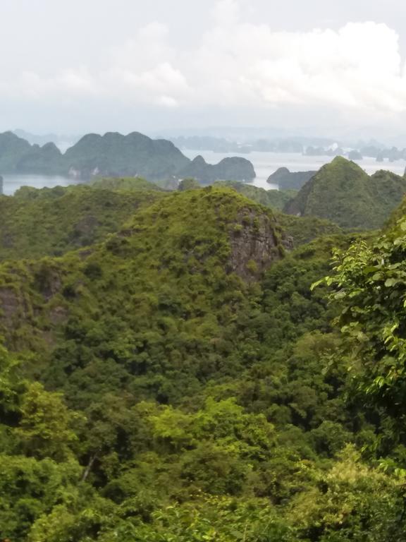 Duc Tuan Hotel Hai Phong Eksteriør bilde